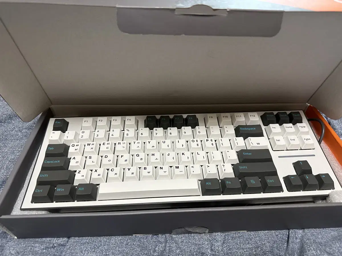 ck01 tkl pbt 텐키리스키보드